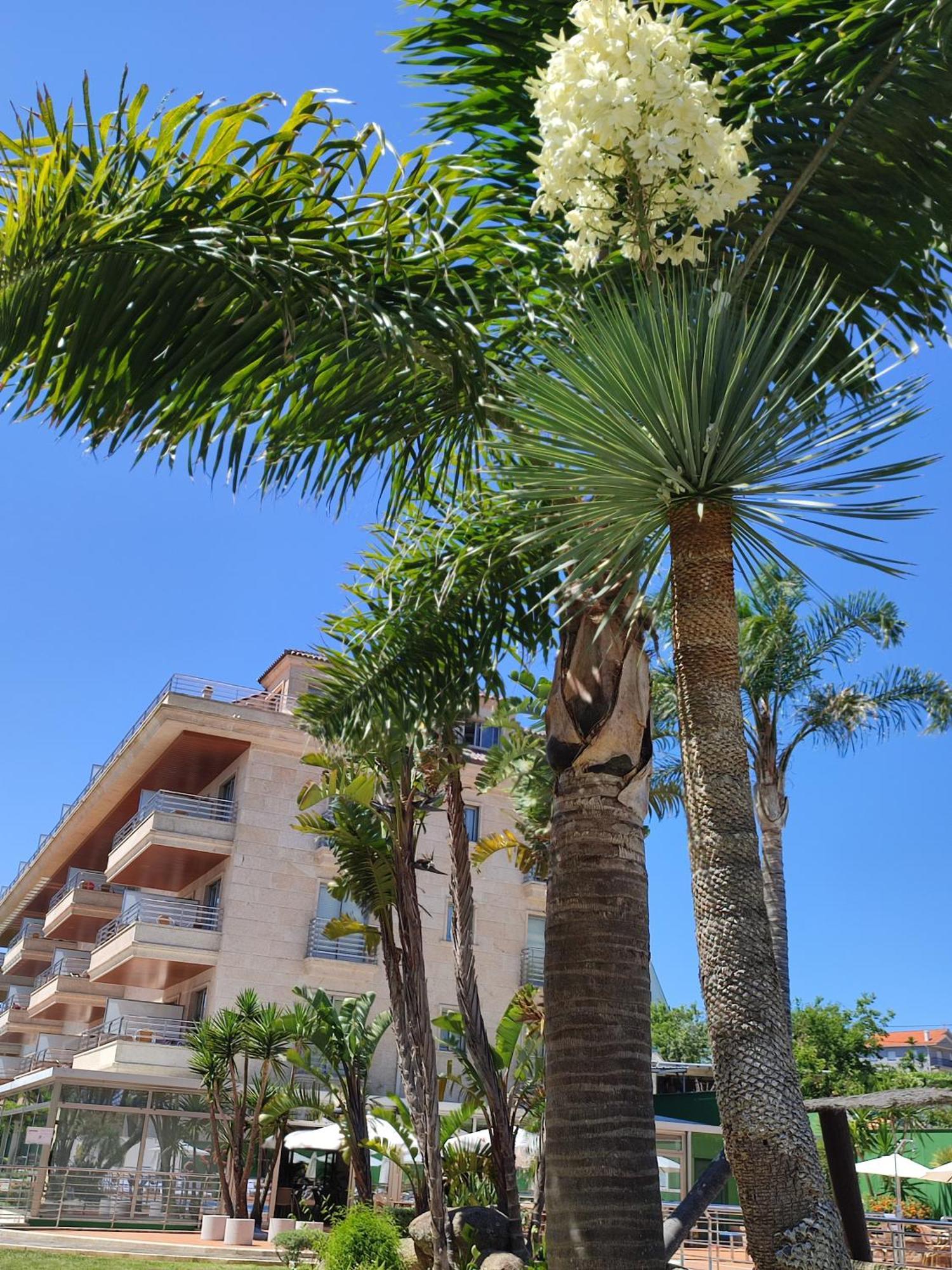 Apartamentos Marsil Montalvo Buitenkant foto
